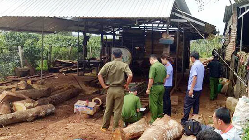 Hiện trường vụ việc