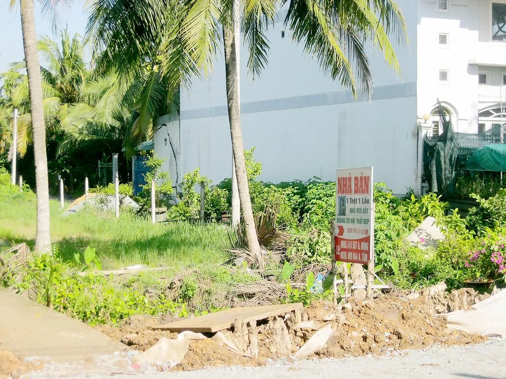 Đất nền hạ nhiệt ảnh 1