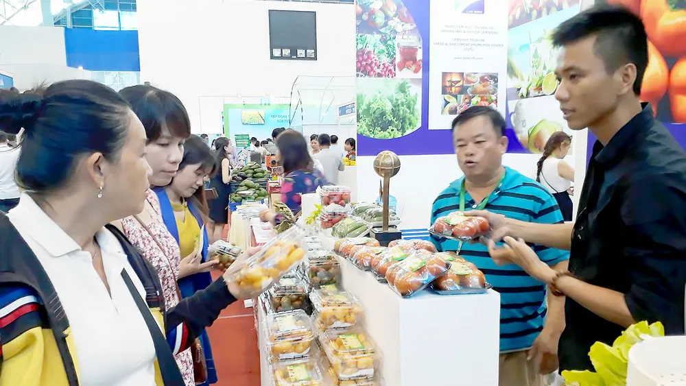 Nông dân thu lợi từ nông nghiệp hữu cơ ảnh 1