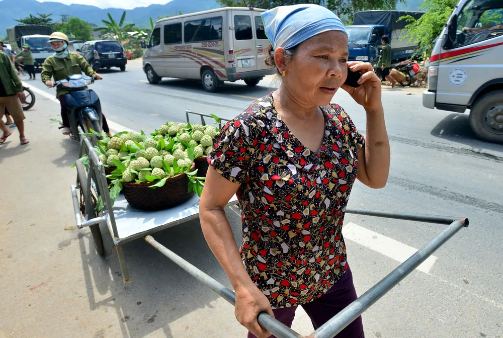 Mãng cầu Chi Lăng nhộn nhịp vào mùa thu hoạch ảnh 9