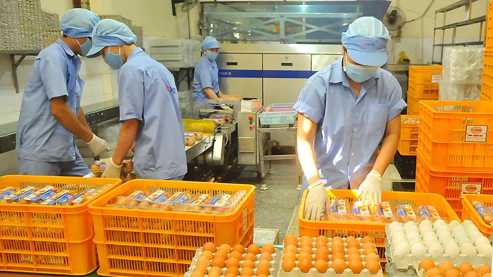 Tháng 9-2017, truy xuất nguồn gốc thịt và trứng gia cầm  ảnh 2