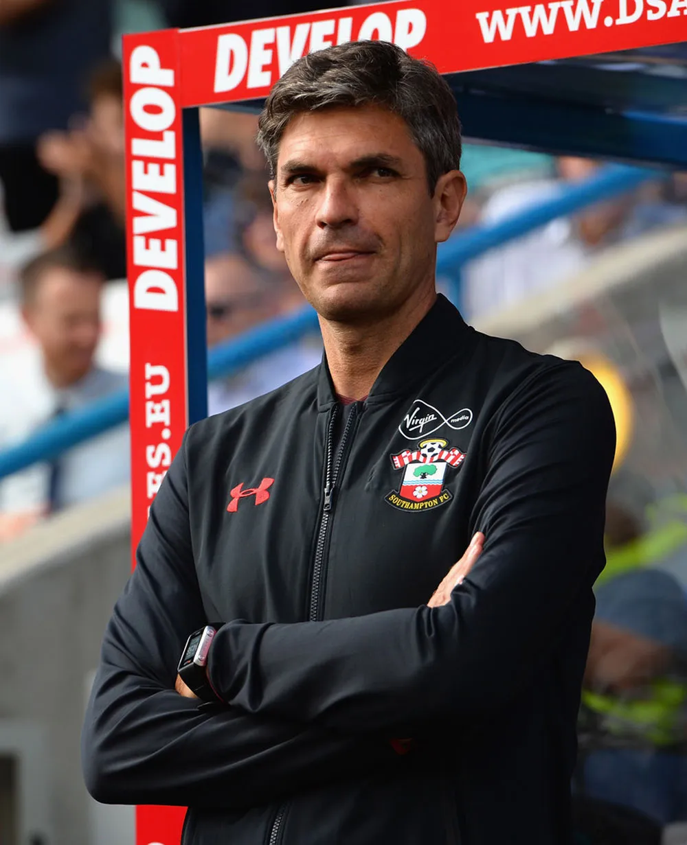 Southampton: Chỉ mới bắt đầu ảnh 1