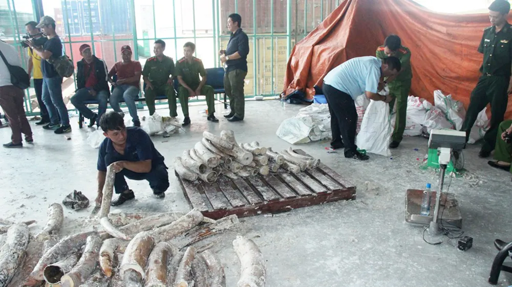 Triệt tiêu điểm nóng buôn lậu, gian lận thương mại ảnh 1