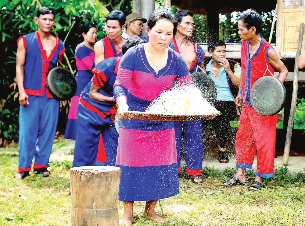 Độc đáo Lễ bỏ mả của đồng bào Raglai ảnh 3