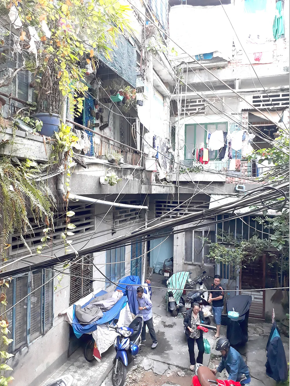 Trông chờ xây mới chung cư cũ ảnh 1