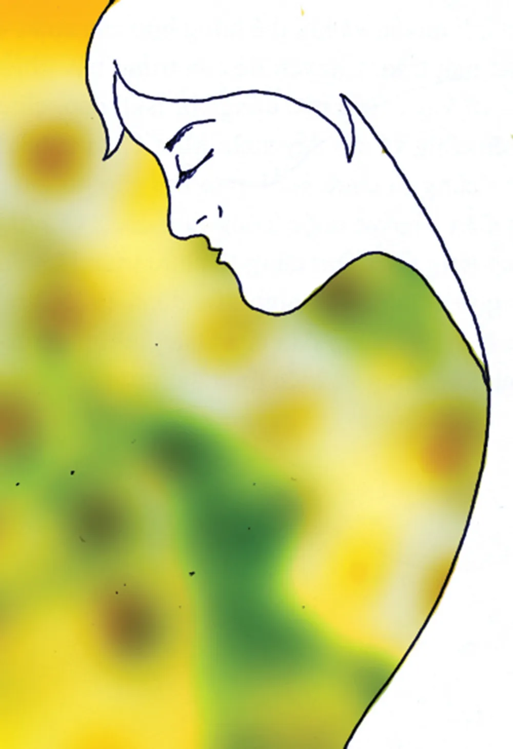 Hương quê…  ảnh 1