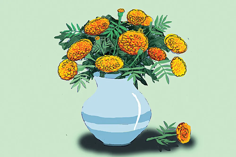 Nội và bông vạn thọ  ảnh 1