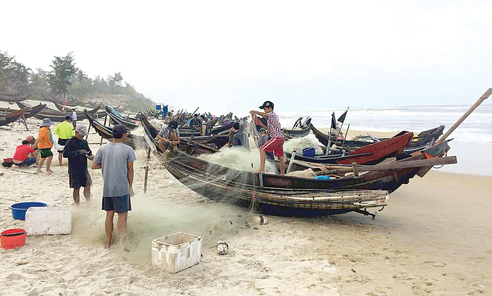 Lộc biển ảnh 2
