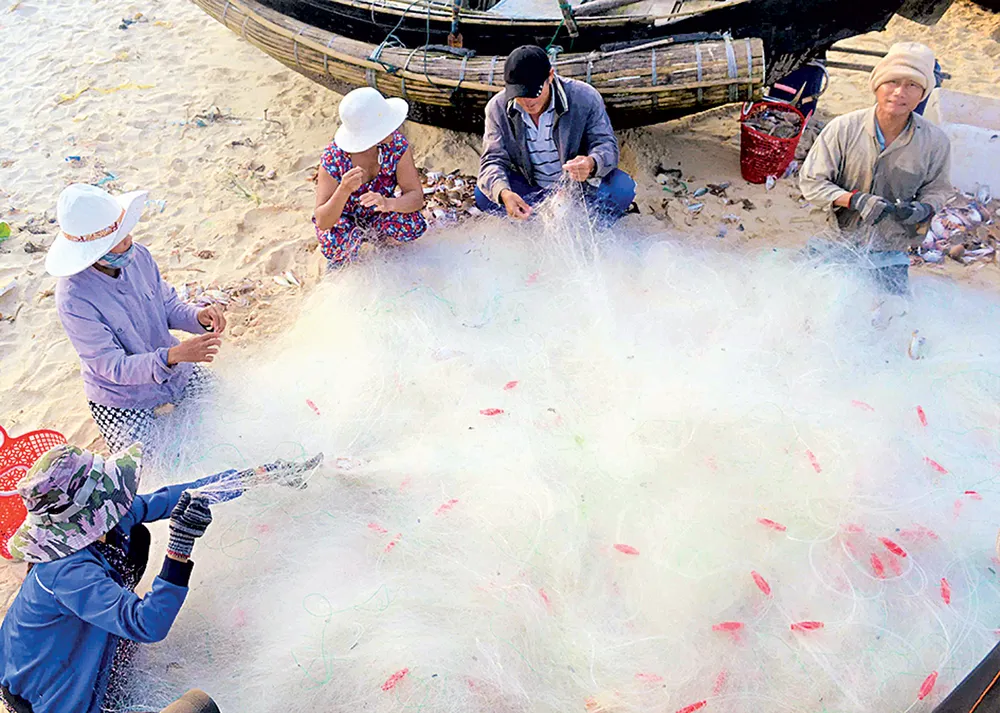 Lộc biển ảnh 7