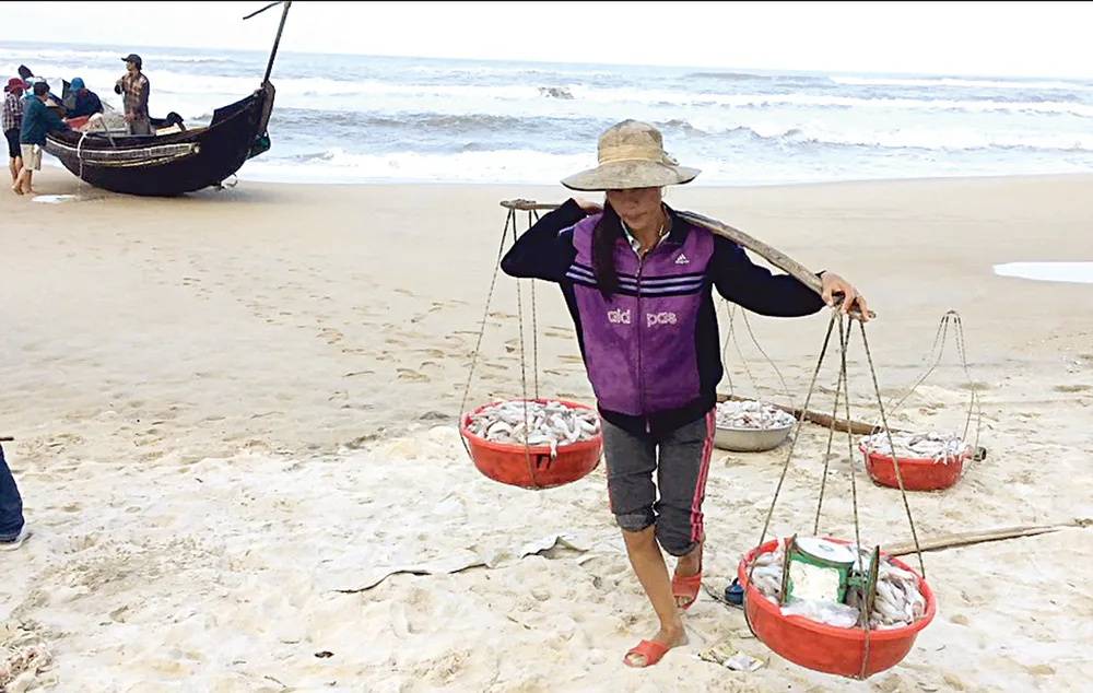 Lộc biển ảnh 5