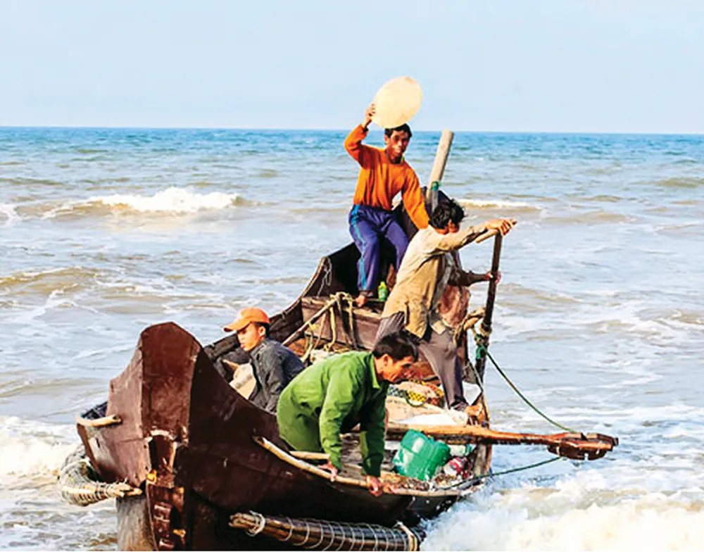 Lộc biển ảnh 1