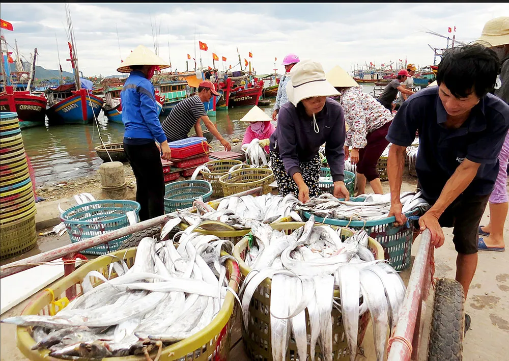 Nhộn nhịp làng biển Quảng Bình ảnh 1