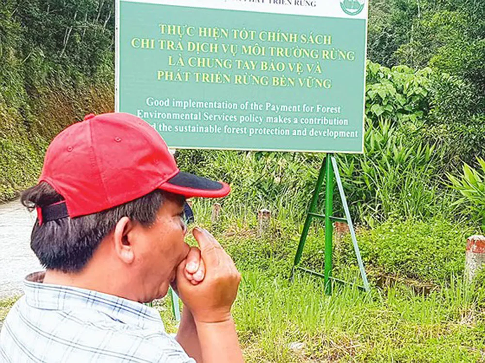 Vua chim Trương Cảm ảnh 1