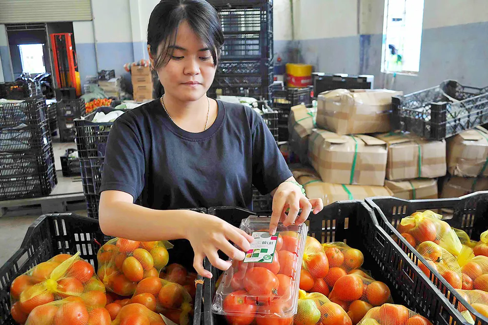 Mở rộng chuỗi thực phẩm an toàn ảnh 1