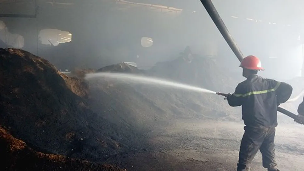 Nguy cơ hỏa hoạn tại các xưởng chế biến gỗ ở Bình Dương ảnh 1