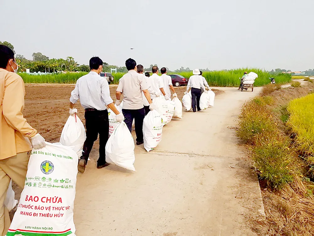 Nông dân bảo vệ môi trường nông nghiệp bền vững ảnh 1
