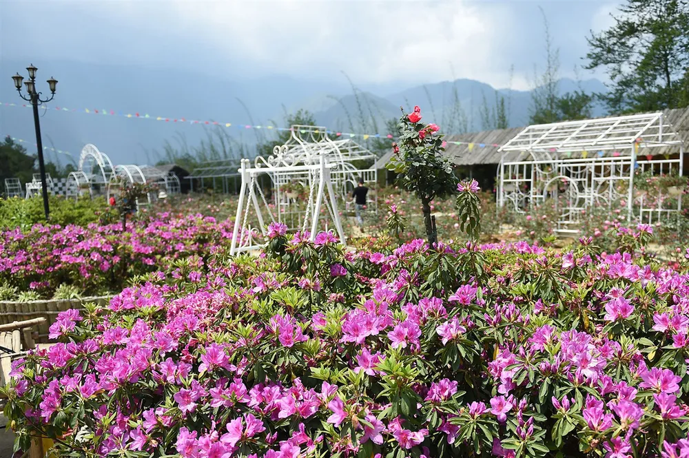 2 ngày ở Fansipan và những trải nghiệm đáng thử dịp lễ 30-4 ảnh 3