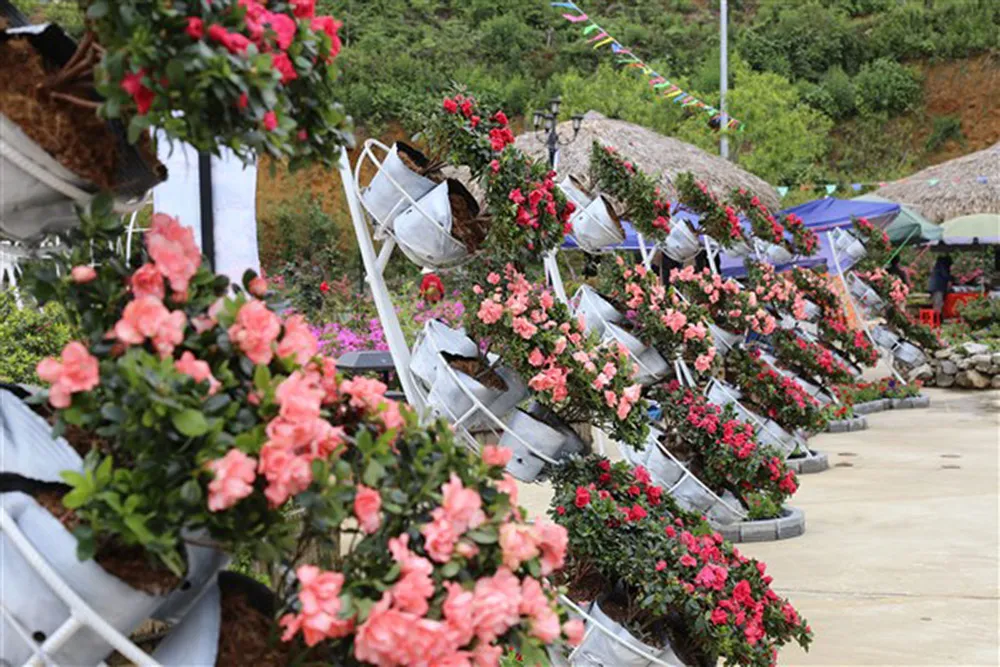 2 ngày ở Fansipan và những trải nghiệm đáng thử dịp lễ 30-4 ảnh 2