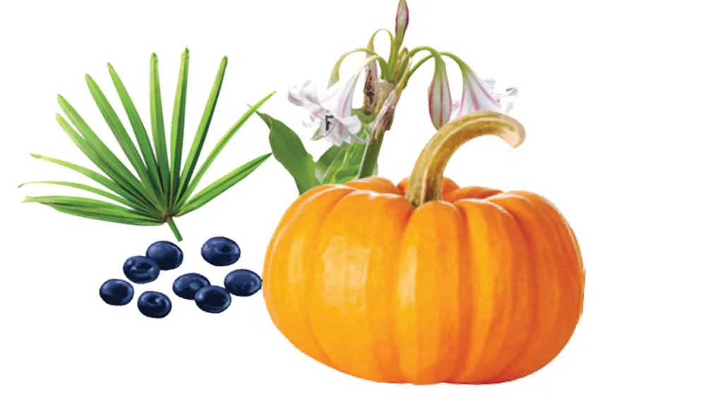 Phì đại tiền liệt tuyến: Hiểu đúng để trị bệnh hiệu quả ảnh 1