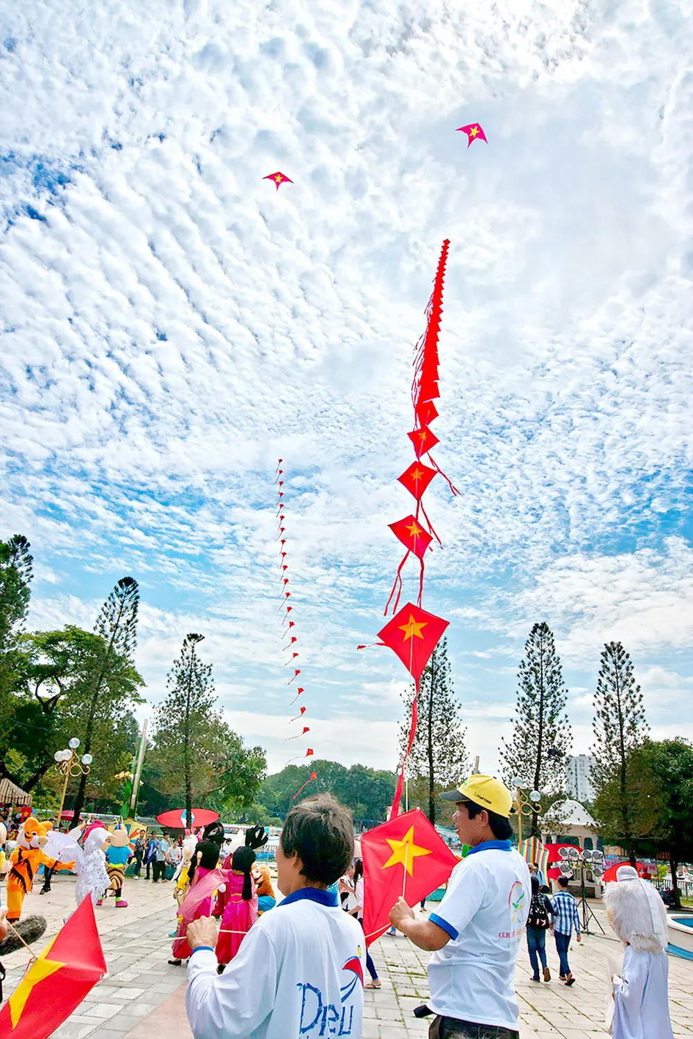 Lễ hội diều mùa hè 2018  ảnh 1