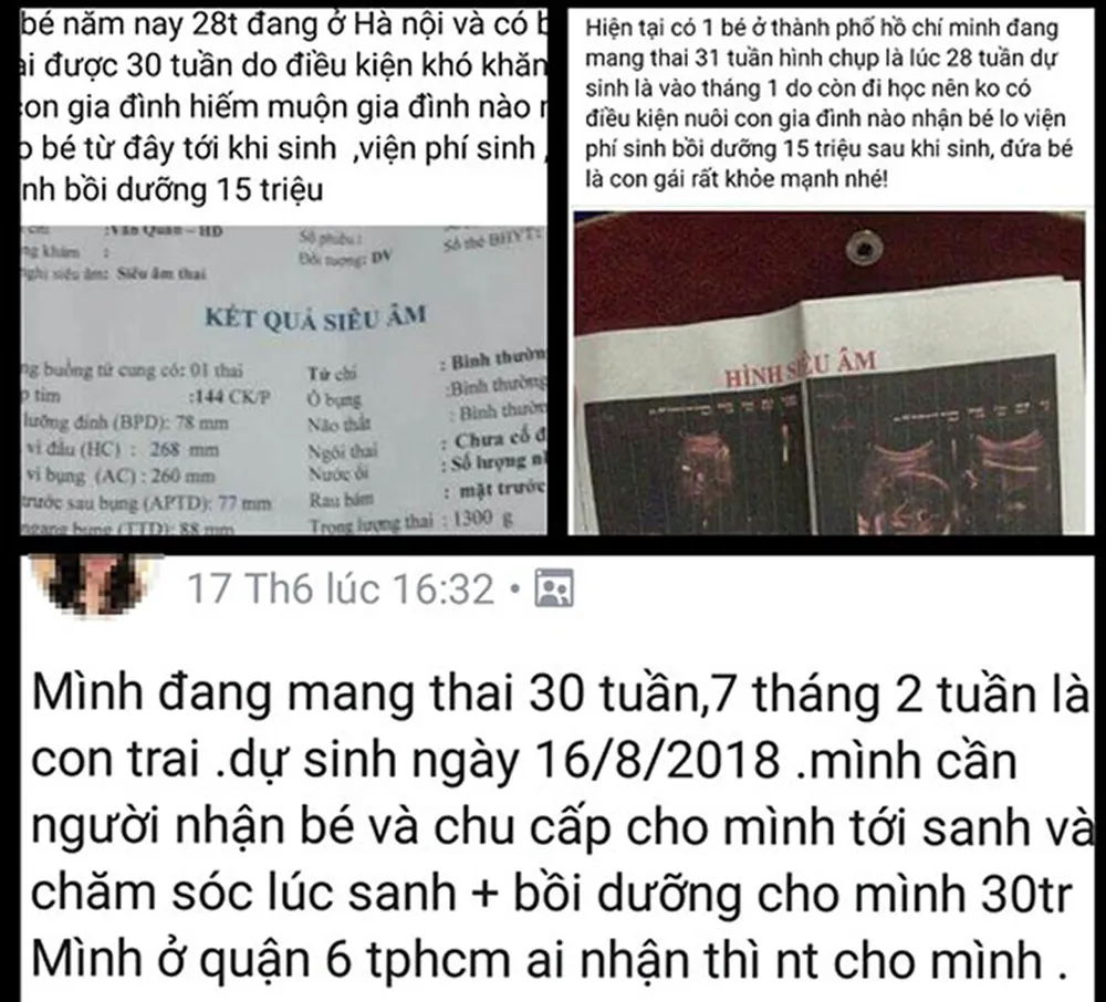 Kiểm tra xử lý hành vi trục lợi từ việc cho và nhận con nuôi ảnh 1