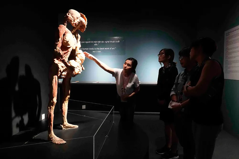 Xung quanh triển lãm “Sự bí ẩn đặc biệt của cơ thể người”: Gây tranh cãi vì chưa có tiền lệ ảnh 1