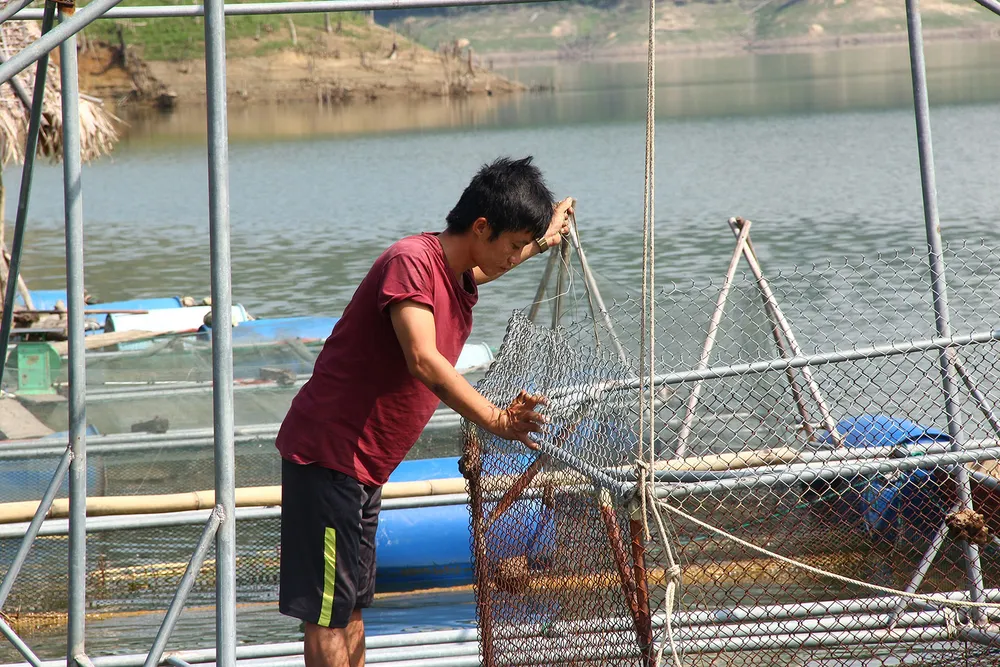 Dựng nghiệp trên “hoang đảo” ảnh 1