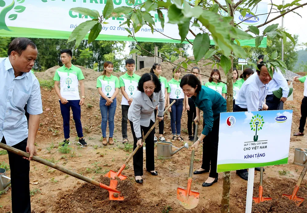 Hơn 100.000 cây xanh được trồng tại Bắc Kạn ảnh 1