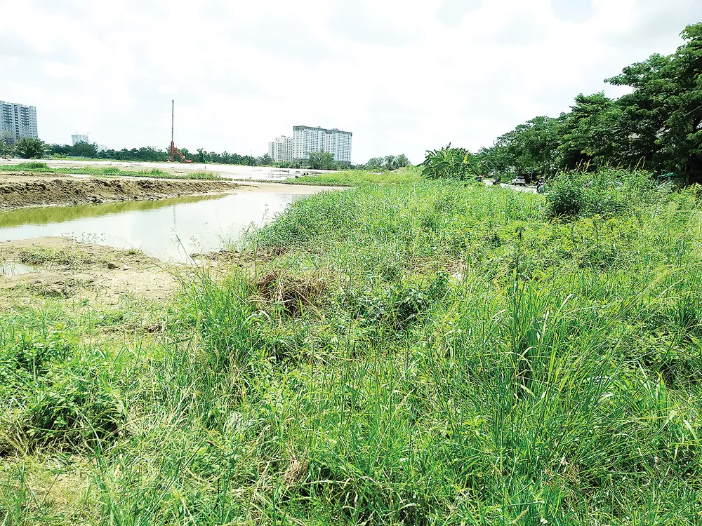 Điều chỉnh quy hoạch sử dụng đất hợp lý để tránh lãng phí, lấn chiếm trái phép…  ảnh 1