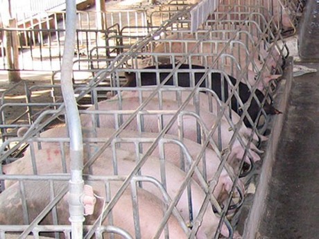 （示意圖來源：互聯網）