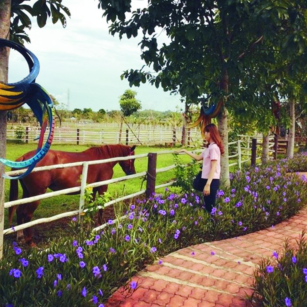 遊客參觀動物飼養區。（圖源：互聯網）