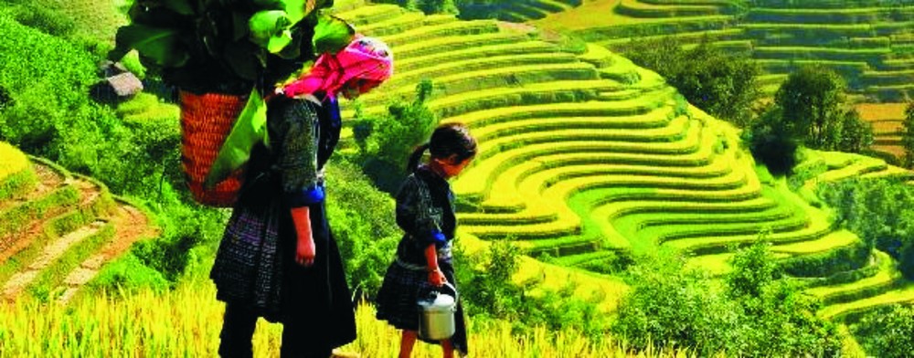 梅州有美麗的梯田。（圖源：互聯網）