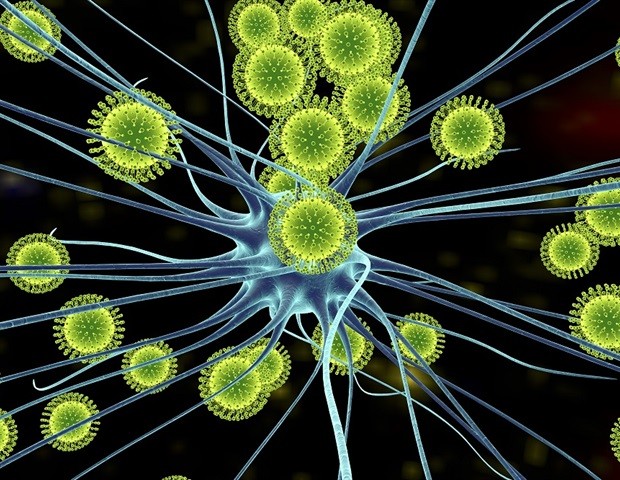 寨卡病毒可用於對付腦腫瘤 ảnh 1