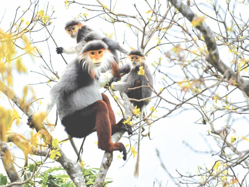 （資料圖來源：互聯網）