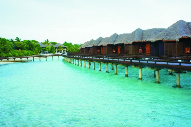 人間天堂 —— 馬爾代夫 ảnh 1