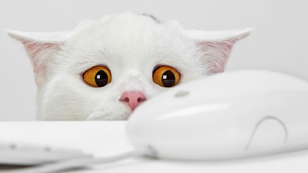 示意圖。（圖片來源：互聯網）