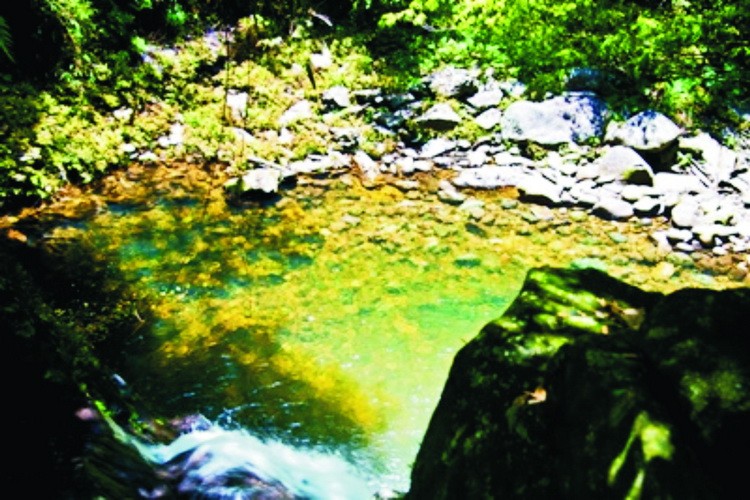 白馬國家公園──保存多種珍稀動植物 ảnh 1