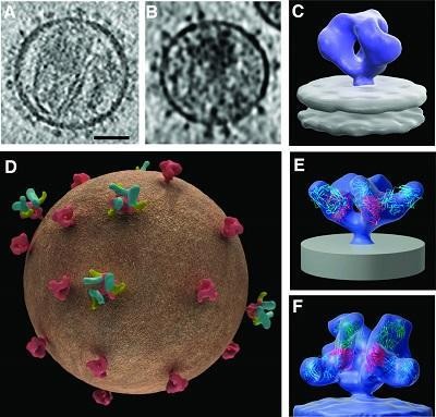 （資料圖來源：互聯網）