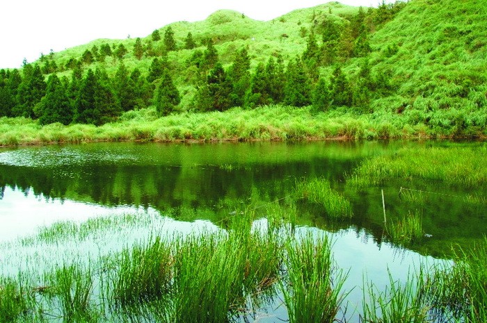 台灣陽明山公園 ảnh 1