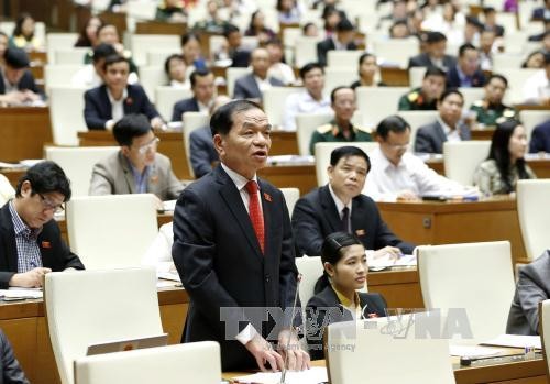 圖為金甌省國會代表黎青雲向農業與農村發展部部長提出質詢。（資料圖：越通社）