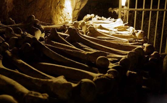 兩少年與遺骸共度 ３ 晝夜 ảnh 3