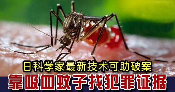 示意圖。（圖源：互聯網）