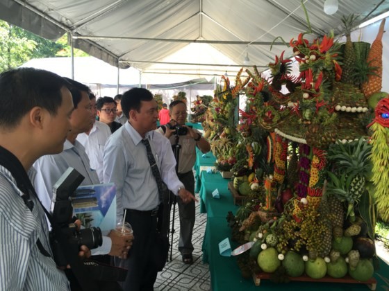 民眾在參觀集市。(圖源：互聯網)