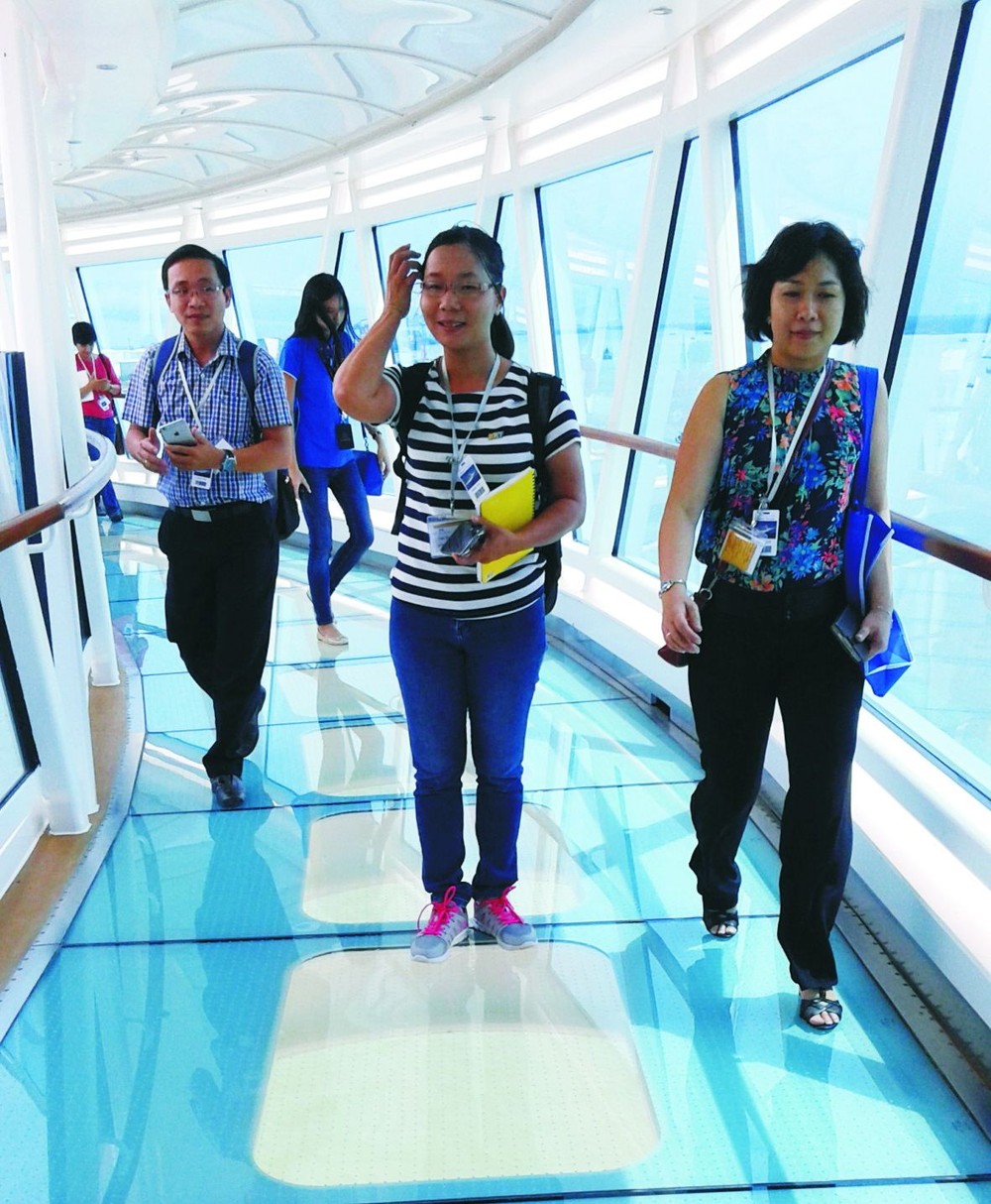 為促進越南旅遊業作努力 ảnh 2