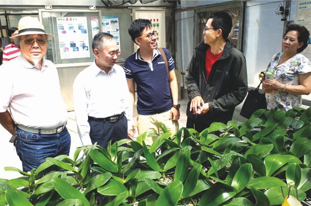 巫達霖會長(左一)帶領工作團參觀蘭花種植園。