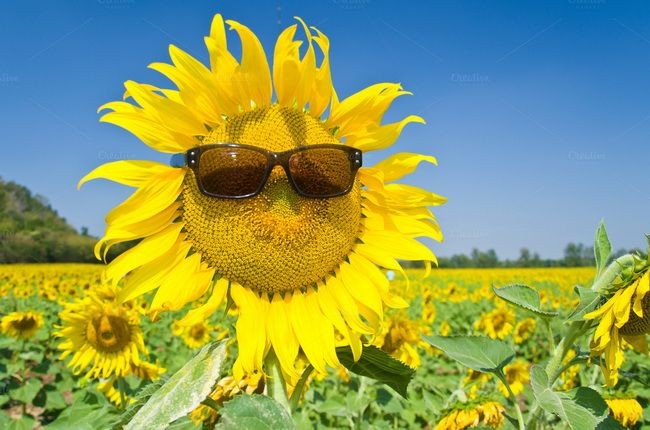 示意圖。（圖片來源：互聯網）