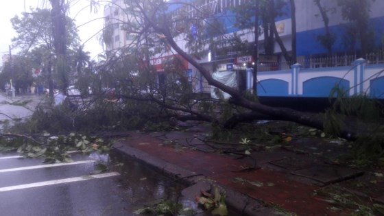 集中克服颱風後果 ảnh 3