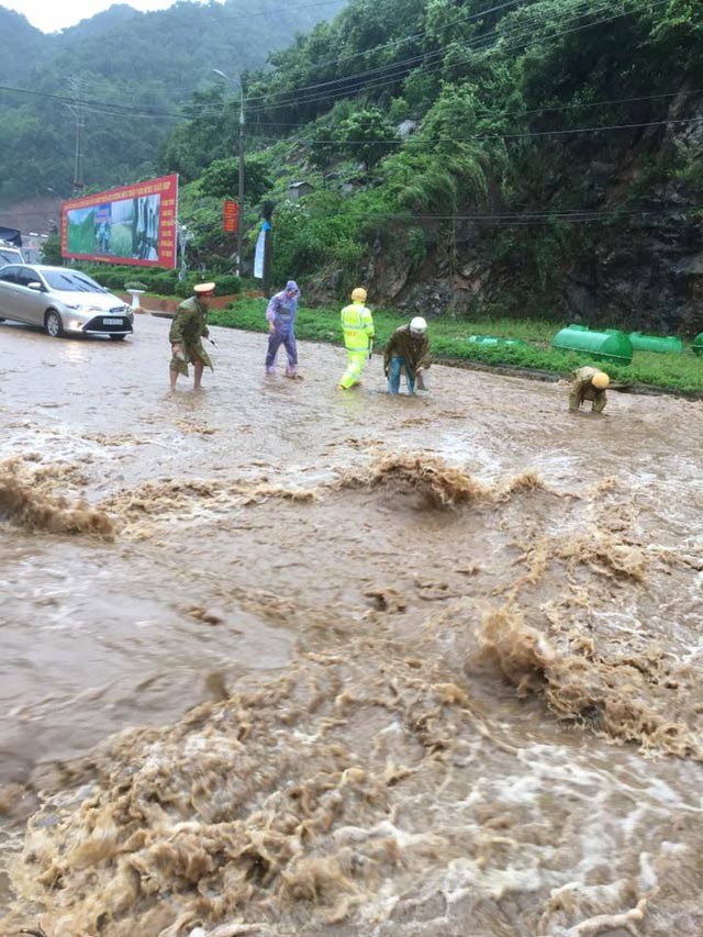 集中克服颱風後果 ảnh 2