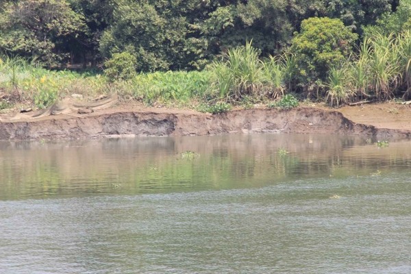 非法開採河沙，致使河岸坍塌。（圖源：互聯網）