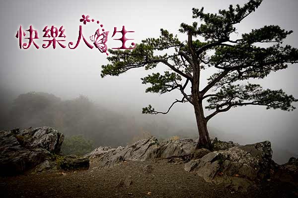（示意圖源：互聯網）